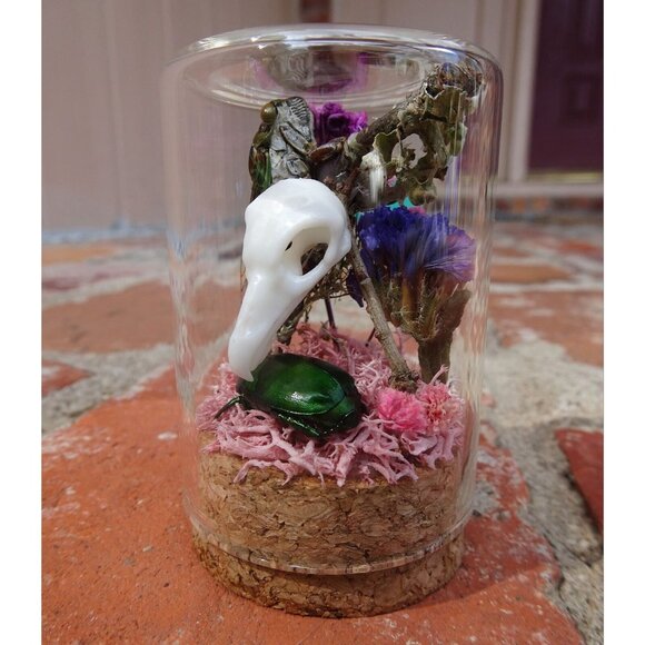 Cicada & Beetle Nature Art Oddity Jar mini vulture skull flowers goth taxidermy - Picture 4 of 10